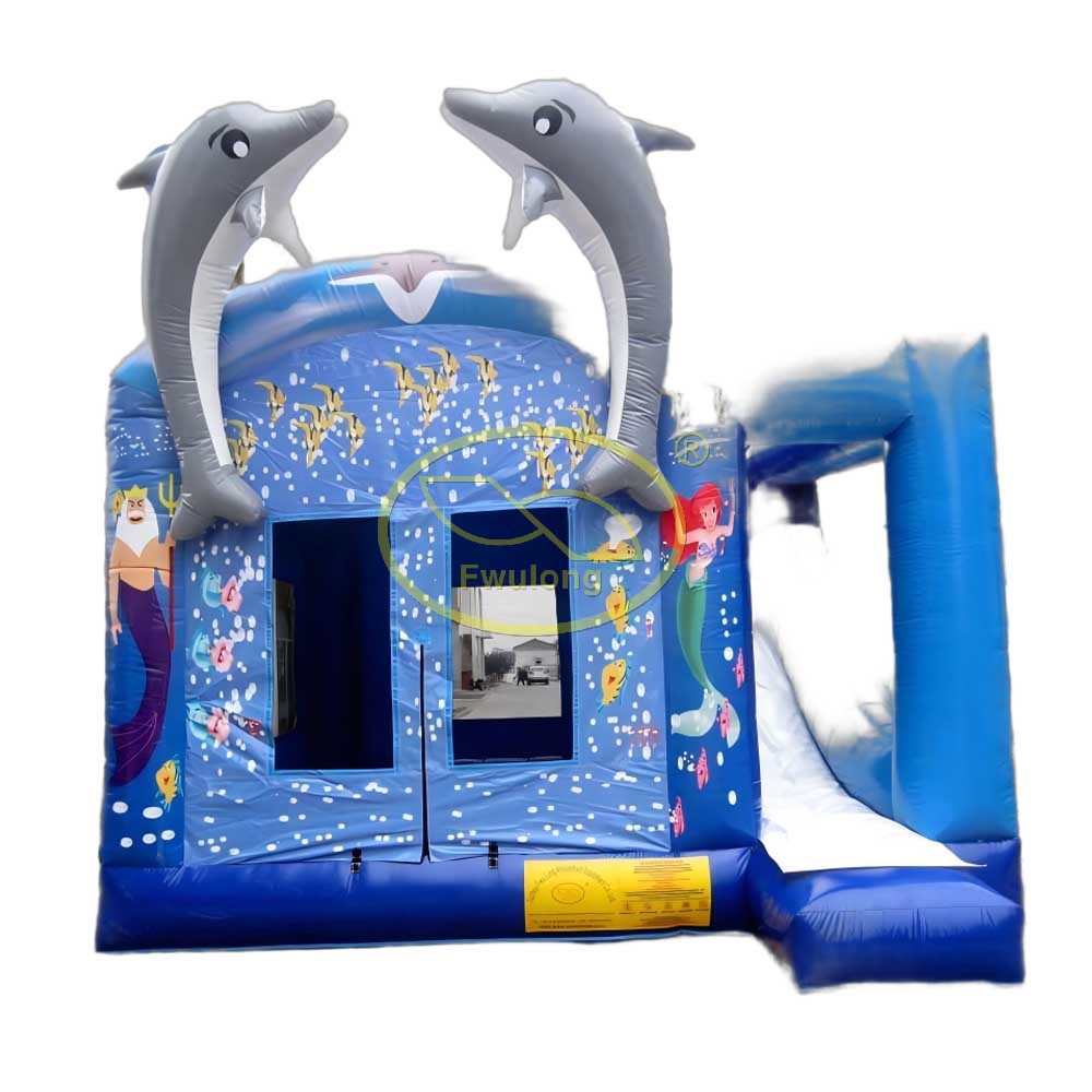 Inflatable Combo CB24